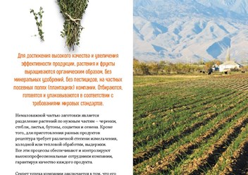 Фото компании  DREAMTERRA В РОССИИ  5