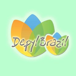 Фото компании ООО Depyl Brazil 1