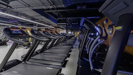 Фото компании  DDX Fitness 8