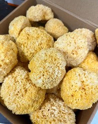 Тремелла (Дрожалка фукусовидная), 2300 р/кг