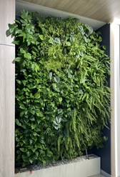 Фото компании  Botanic balance 1