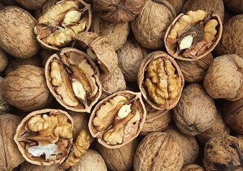 Грецкий орех в скорлупе от 1000кг