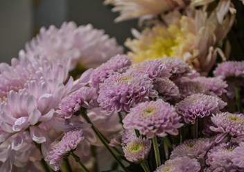 Фото компании ИП Lundi flowers 2