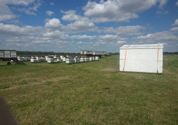 Фото компании ИП Пчеловод Василий Рудобелец 3