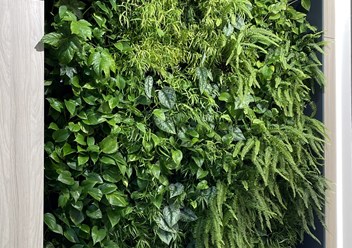 Фото компании  Botanic balance 1