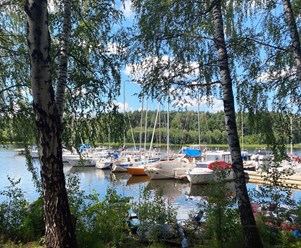 Фото компании ООО "Патриот" 2