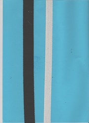 Фото компании ООО Лентоткацкая фабрика ДиВа 15