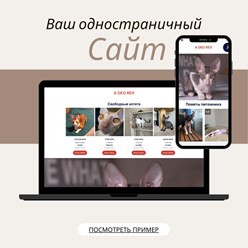 Фото компании ООО Breed Show 5