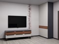 Распашной шкаф и тв тумба на заказ от Modus Style