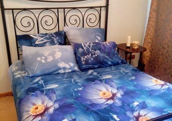 Фото компании ИП Мини - гостиница «Север» 3