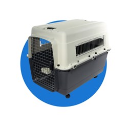 Фото компании ИП Dog is love 6