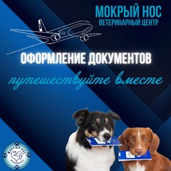 Фото компании ООО Мокрый нос 9