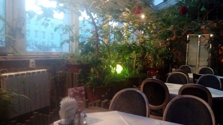 Фото компании  Флора, гранд кафе 19