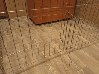 Фото компании ООО СмартДог24 5