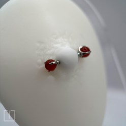 Фото компании ИП DRIP || Тату - Пирсинг || Калининград 6