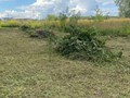 фото работ