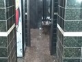 Фото компании  Бора-Бора, сауна 6
