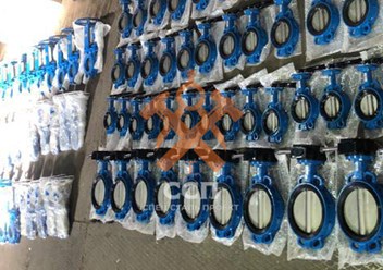 Затвор чугунный поворотный дисковый