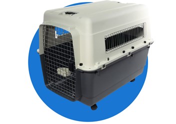 Фото компании ИП Dog is love 6