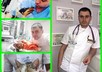 Фото компании ООО Кабинет ветеринарной медицины 5