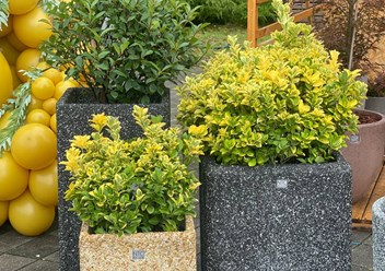 Фото компании ООО НТС Бетон 5