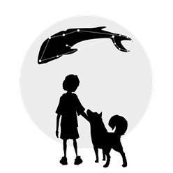 Фото компании ООО Дрим Вижн 1