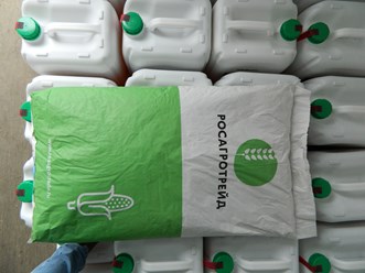 Семена кукурузы