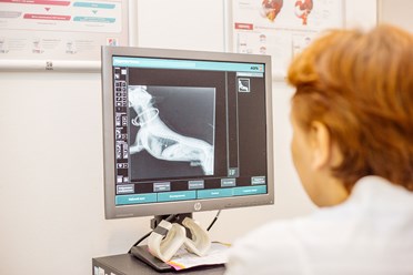 Фото компании  Био-Вет Калужская 15