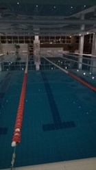 Бассейн с морской водой.