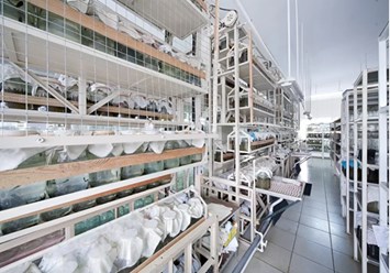 Фото компании  Компания по производству медицинских пиявок 6