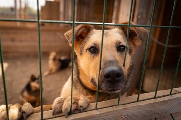 Фото компании  РОО «Экология человека» 15