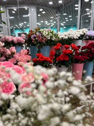 Фото компании  Цветочки 2