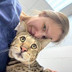 Фото компании  Веда 15