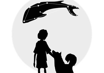 Фото компании ООО Дрим Вижн 1