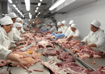 Фото компании ООО «АНДРОМЕДА» — поставщик мясной продукции на российском рынке. 5