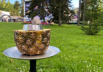 Готовы удивить своих гостей
уникальными кальянами?