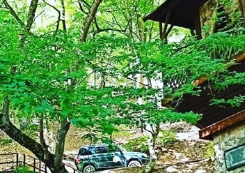 Фото компании  Патриот 4