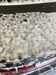 Фото компании ООО Автомойка   " Бамбук" 25