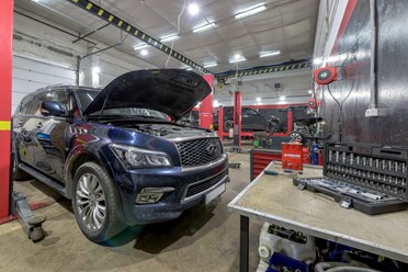 Фото компании  BlackBelt 3