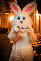 Фото компании  Event BAL 12