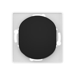 Выключатель скрытой установки CADUCEUS ALING EON, кнопочный, 10АХ, 250В~, механизм