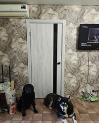 Фото компании  Двери Эко-опт 1