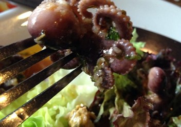 Фото компании  Перцы 6