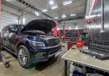 Фото компании  BlackBelt 3