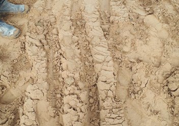 Карьерный песок всех видов с доставкой +79531580079