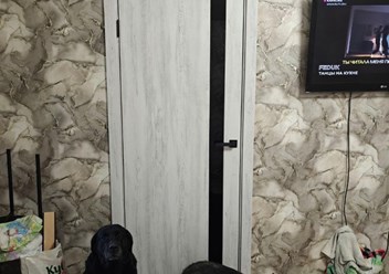 Фото компании  Двери Эко-опт 1