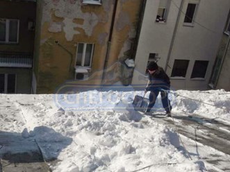 Фото компании ООО Снегосбор 3