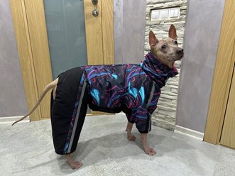 Фото компании Самозанятый Пес в пальто 55