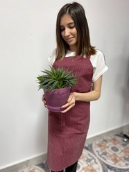 Фартук с грудкой в бордовую полоску.
Состав: 35% х/б и 65% п/э
Размер: S, M, L, XL, 2XL.
Способ брендирования: вышивка, термоперенос.