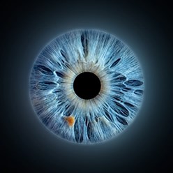 Фото компании  MemoriesUral 4